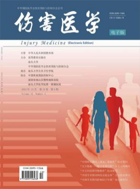伤害医学期刊